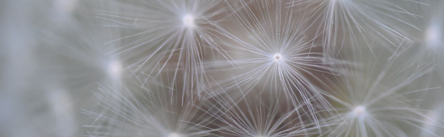 ส่วนบนสุดของเว็บไซต์